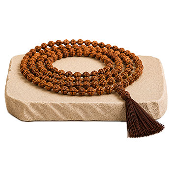 rudraksha